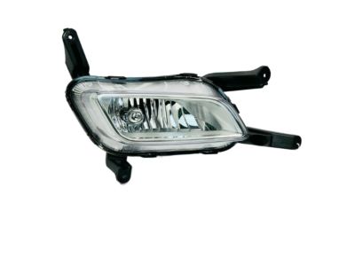 Kia 922022T550 Front Fog Lamp Assembly, Right