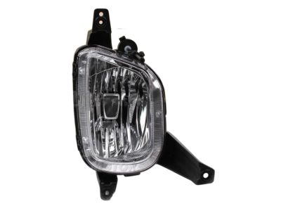 Kia 92202A9010 Front Fog Lamp Assembly, Right