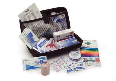 Kia 00083ADU22 First Aid Kit, Large