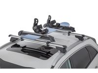 Roof Ski Attachment