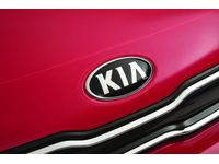 Kia Hood Protector Applique - B2025ADU00