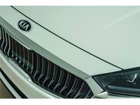 Kia Cadenza Hood Protector Applique - F6025ADU00