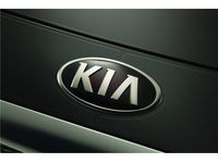 Kia K900 Hood Protector Applique - J6F24AU000