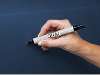 Kia Forte Koup Touch Up Paint - UA090TU5014HO