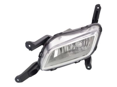 Kia 922012T550 Front Fog Lamp Assembly, Left