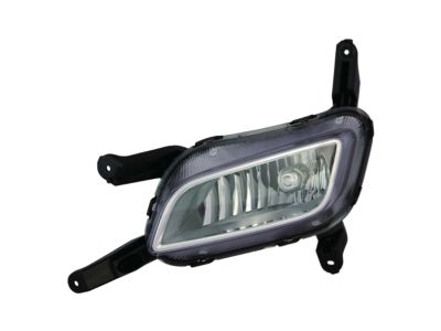 Kia 922012T550 Front Fog Lamp Assembly, Left