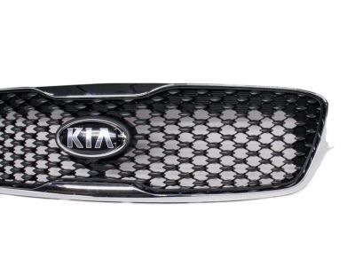 Kia 86380C6000 Radiator Grille Assembly