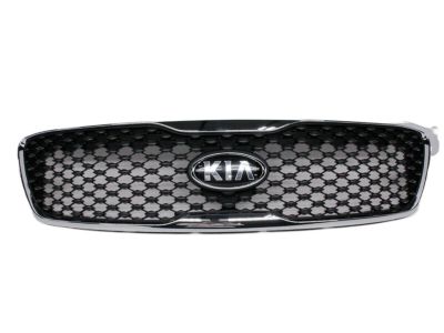 Kia 86380C6000 Radiator Grille Assembly