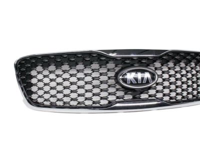 Kia 86380C6000 Radiator Grille Assembly