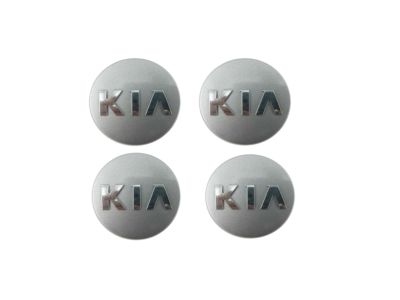 Kia Soul Wheel Cover - 529601Y200