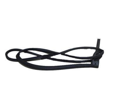 83130Q5000 Kia W/STRIP Assembly-Rr Dr S Product Photo 5 of 5