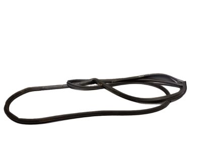 83130Q5000 Kia W/STRIP Assembly-Rr Dr S Product Photo 4 of 5