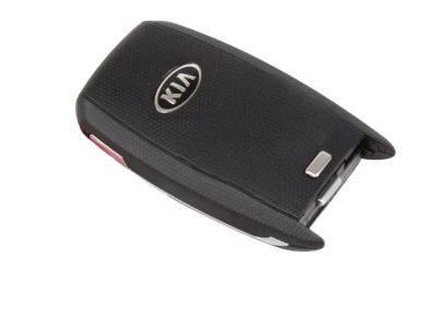 Kia 954403W500