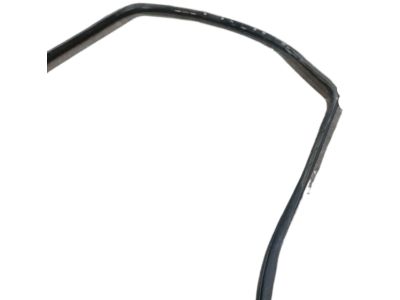 Kia 831101U000 WEATHERSTRIP-Rear Door Body Side