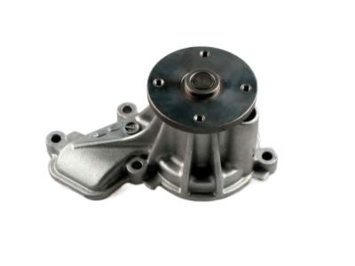 Kia Water Pump - 251002E000