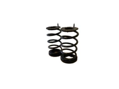 Kia 553301U410 Rear Springs