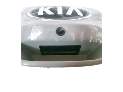 Kia 817201W230 Tail Gate Handle Assembly