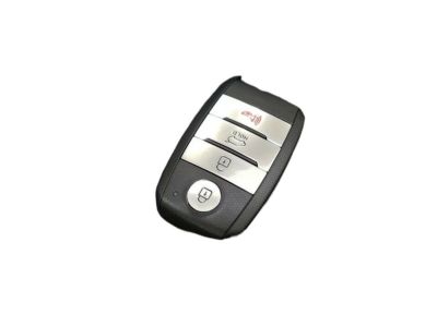 Kia 81996A2010 Blanking Pic Key