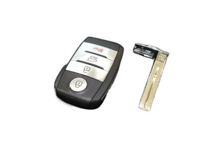 Kia 81996A2010 Blanking Pic Key