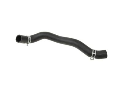 2015 Kia Cadenza Radiator Hose - 254153R200