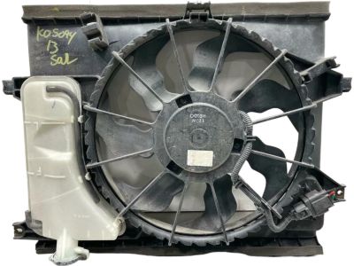 Kia Soul Fan Blade - 253802K600
