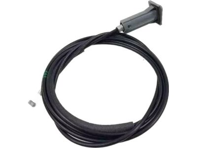815903W001 Kia Catch & Cable Assembly-F Product Photo 2 of 4