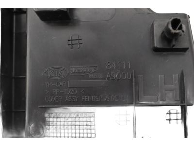 Kia 84111A9000