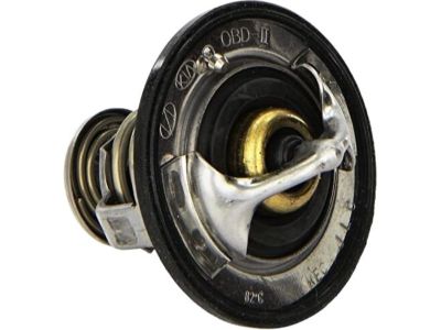 Kia Optima Thermostat - 2550037200