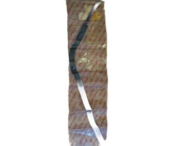 863821F000 Kia Rear Door Black Frame Tape Product Photo 2 of 2