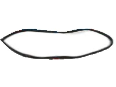 Kia 821101G001 WEATHERSTRIP-Front Door Body Side