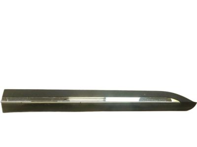 2024 Kia Carnival Door Moldings - 87722R0100
