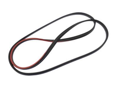 2012 Kia Optima Hybrid Weather Strip - 816142T000