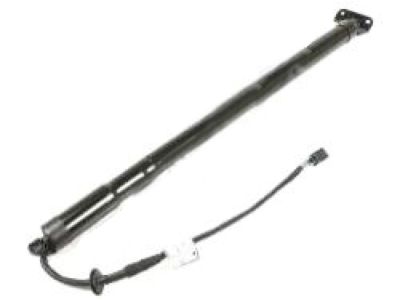 Kia Forte Tailgate Lift Support - 817701M010