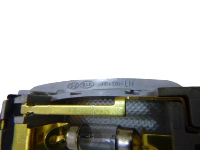 2024 Kia Seltos Dome Light - 928913S000BGA
