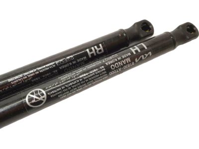 2023 Kia Niro Tailgate Lift Support - 81840AT000