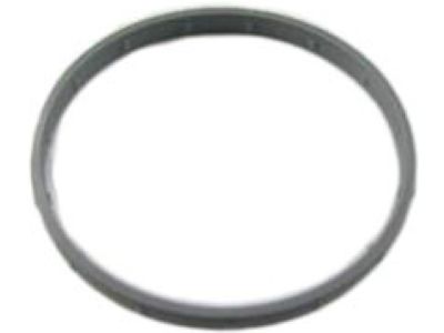 2009 Kia Sedona Throttle Body Gasket - 351013C400