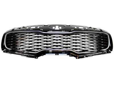 Kia 86350D9510 Radiator Grille Assembly