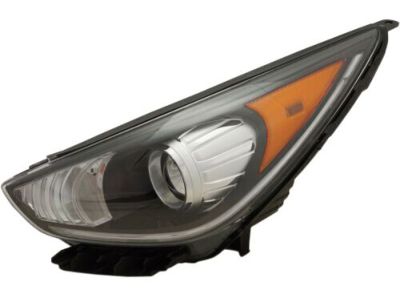 Kia 92101G5040 Driver Side Headlight Assembly