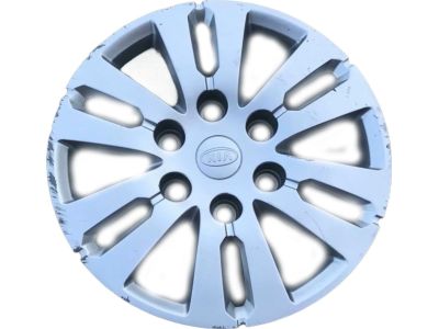 Kia 529604D800
