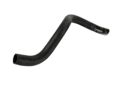 Kia 2541538060 Hose-Radiator Lower