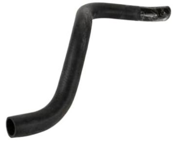 Kia 2541538060 Hose-Radiator Lower