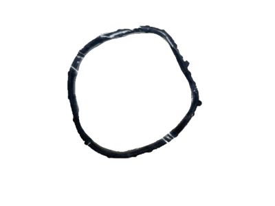 Kia Optima Thermostat Gasket - 256412GGA0