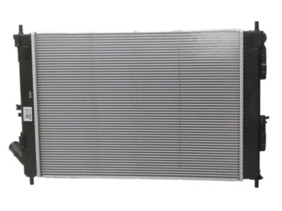 Kia 253103X500 Radiator Assembly