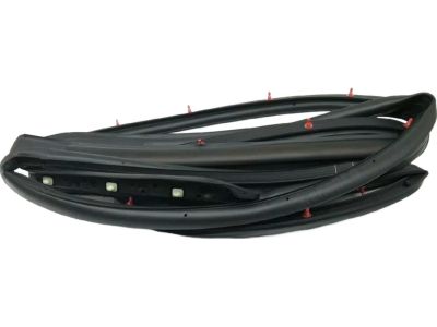 83130D9000 Kia Rear Door Side Weatherstrip Assembly Product Photo 1 of 5