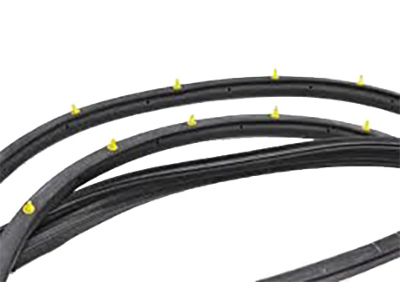83130D9000 Kia Rear Door Side Weatherstrip Assembly Product Photo 5 of 5