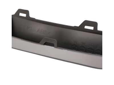 Kia 86596P1000