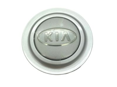 Kia 529603E101