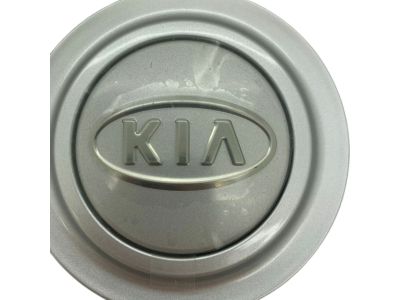 Kia 529603E101