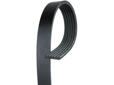 2011 Kia Sedona Drive Belt - 252123C111