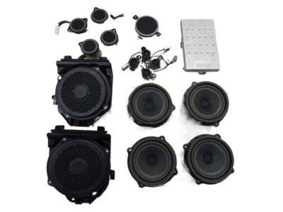 Kia 96311J5000 Front Tweeter Speaker Assembly